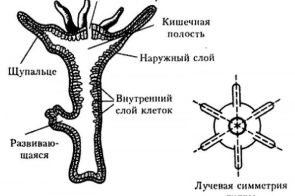 Кракен наркотики